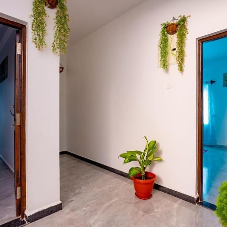 Goan Fiesta Studio Calangute Goa 빌라 외부 사진