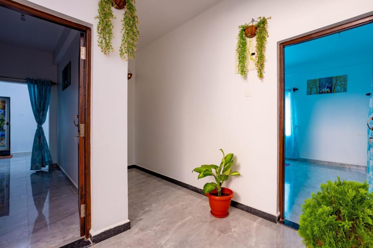 Goan Fiesta Studio Calangute Goa 빌라 외부 사진